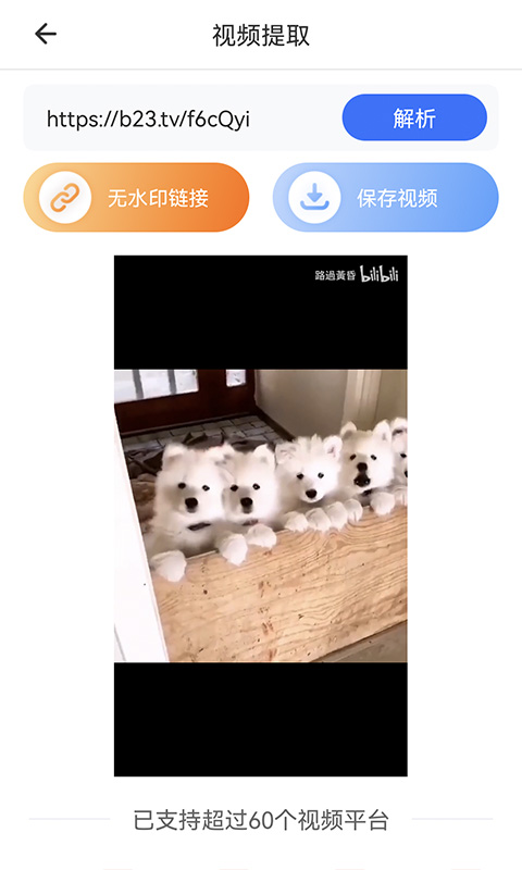松鼠去水印