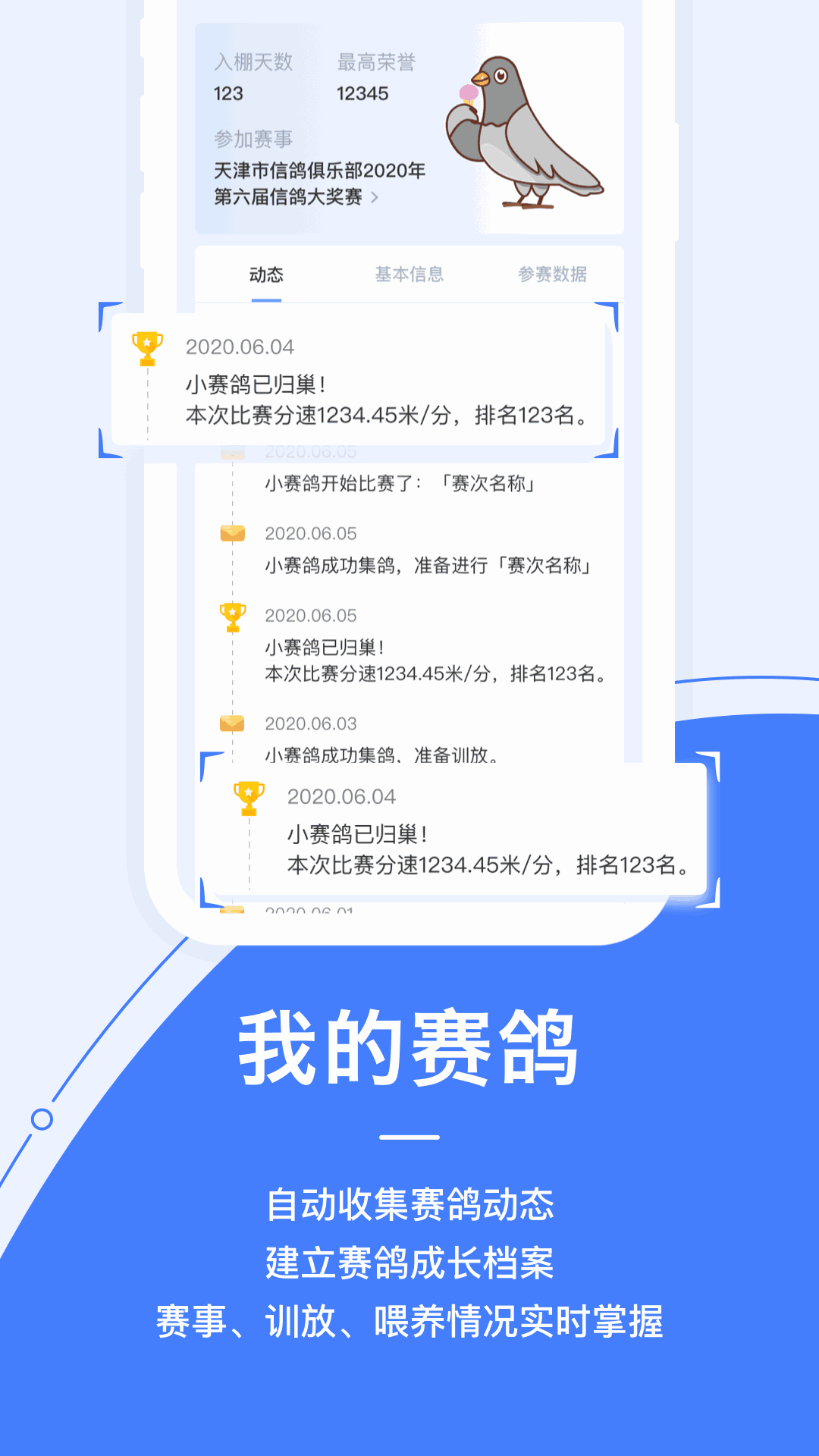 信鸽纵横