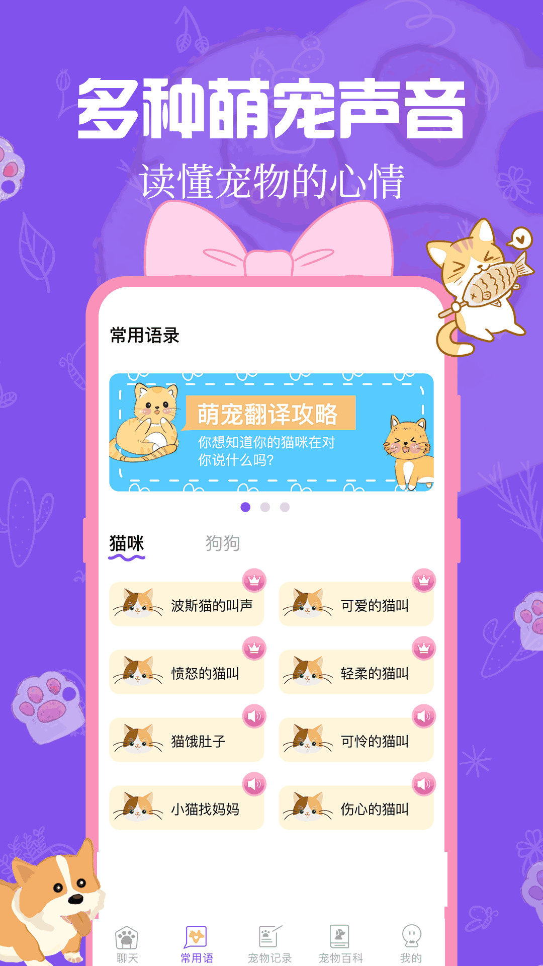 猫狗翻译器